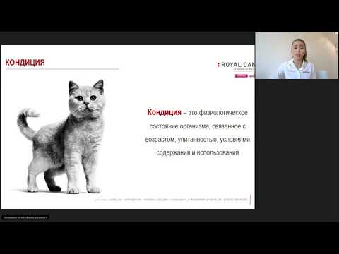 5 Роял Канин видеоурок. Проблема избыточного веса