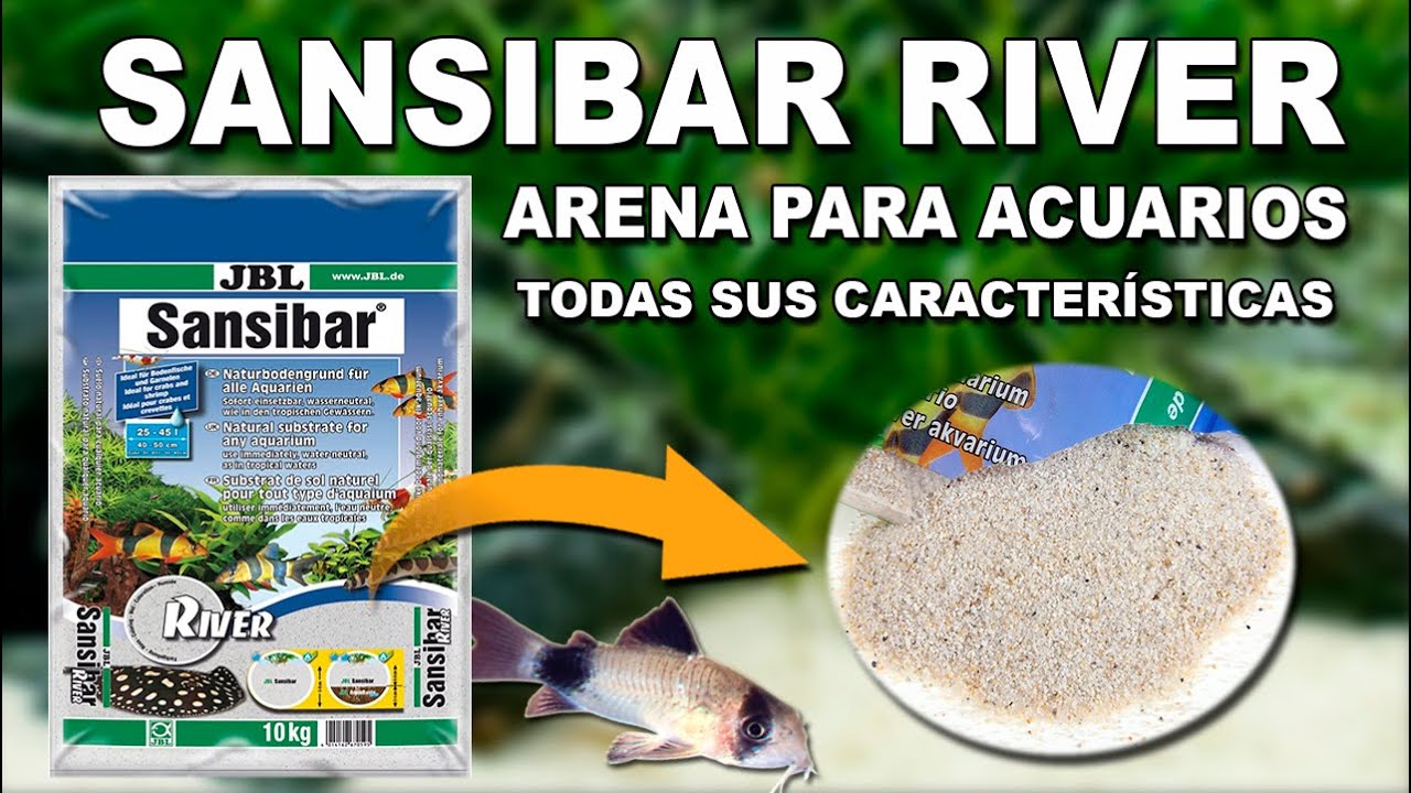 Mauve Siden surfing JBL SANSIBAR RIVER 👉 TODO lo que debes saber | Sustrato Para Acuarios -  YouTube