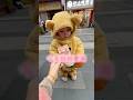 Cutest Jasmine Milk Tea Mission Ever†And He Pulled It Off рџЊёрџ 🥠Cutest Jasmine Milk Tea Mission Ever†And He Pulled It Off рџЊёрџ рџҐ