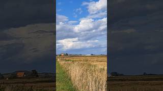 Dünenheide - Fährinsel - bei Vitte auf der Insel Hiddensee - 27.09.2024 #nature #travel #1k #sky