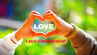 Love - A New Commandment
