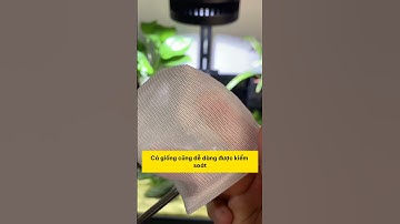 Khám Phá Vợt 3D Đỉnh Cao Dành Cho Người Nuôi Cá! #methuysinh #aquarium #fish #fyp