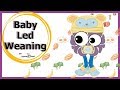 METODO BABY LED WEANING (BLW) ¿Qué es? ¿Ventajas? ¿Que saber antes de empezar?