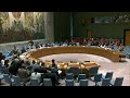 Iran Nuclear Deal Implementation - (Full Meeting) UN Security Council: Non-proliferation