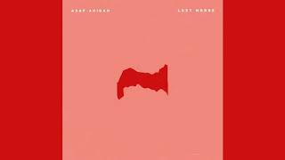 Asaf Avidan - Lost Horse