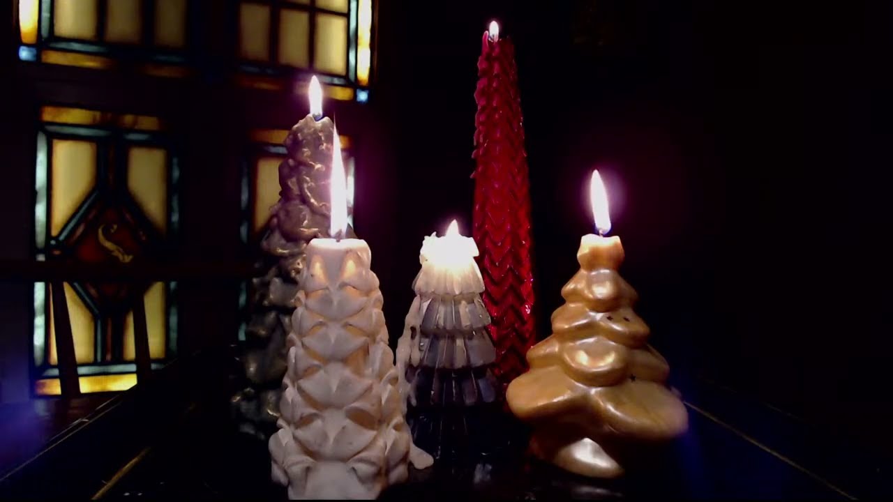 Random Candle Burning - Stylized Christmas Tree Forest