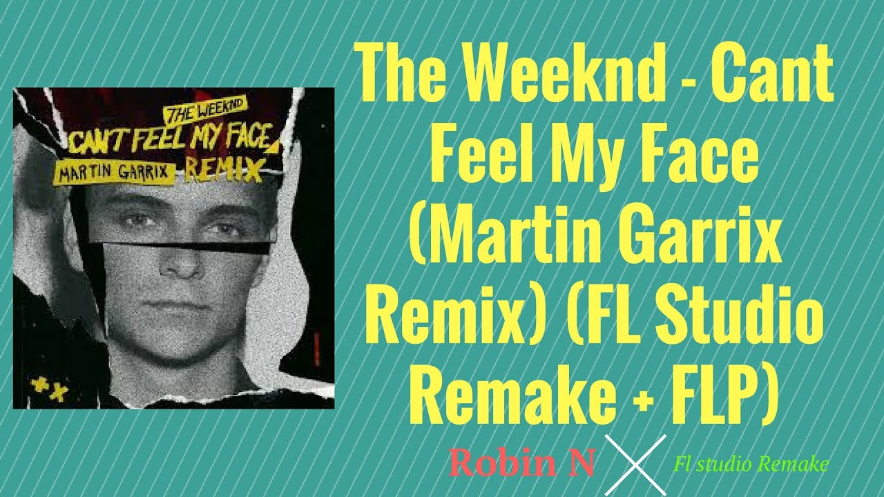 Can T Feel My Face Martin Garrix