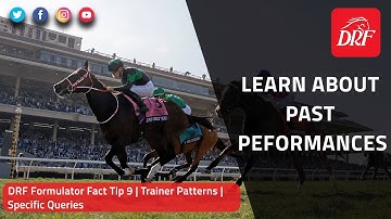 DRF Formulator Tip 9 | Trainer Patterns | Specific Queries