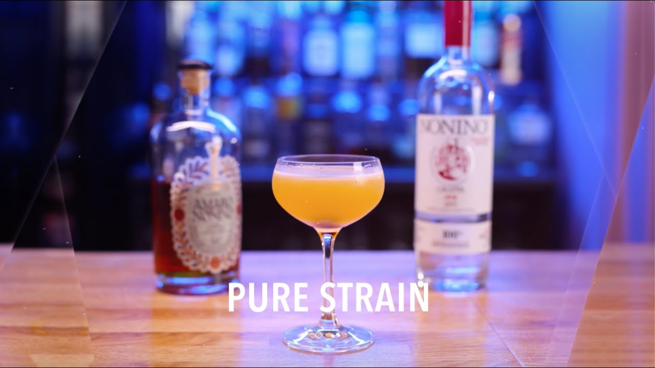 S.A.L.T. Bar Pure Strain Cocktail Recipe YouTube