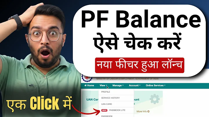 How to Check EPF Balance Online in 2025 | Passbook Lite