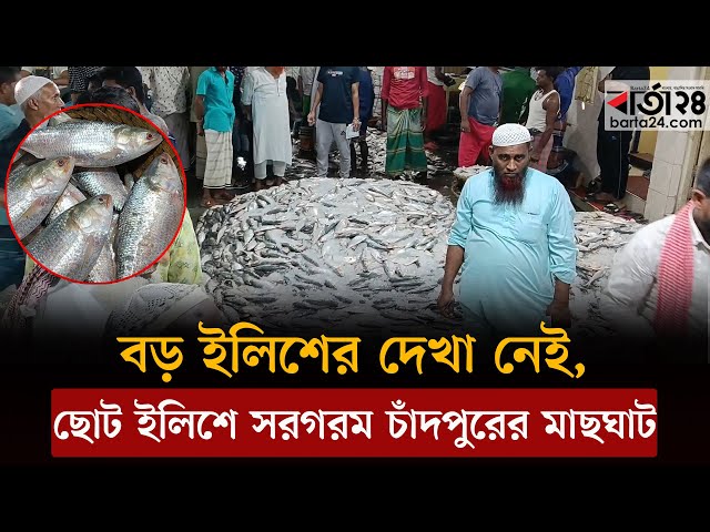 Semiz ayollarning eshaklarini yoygan fotosuratlari Ichki kiyimdagi jingalak ayollar