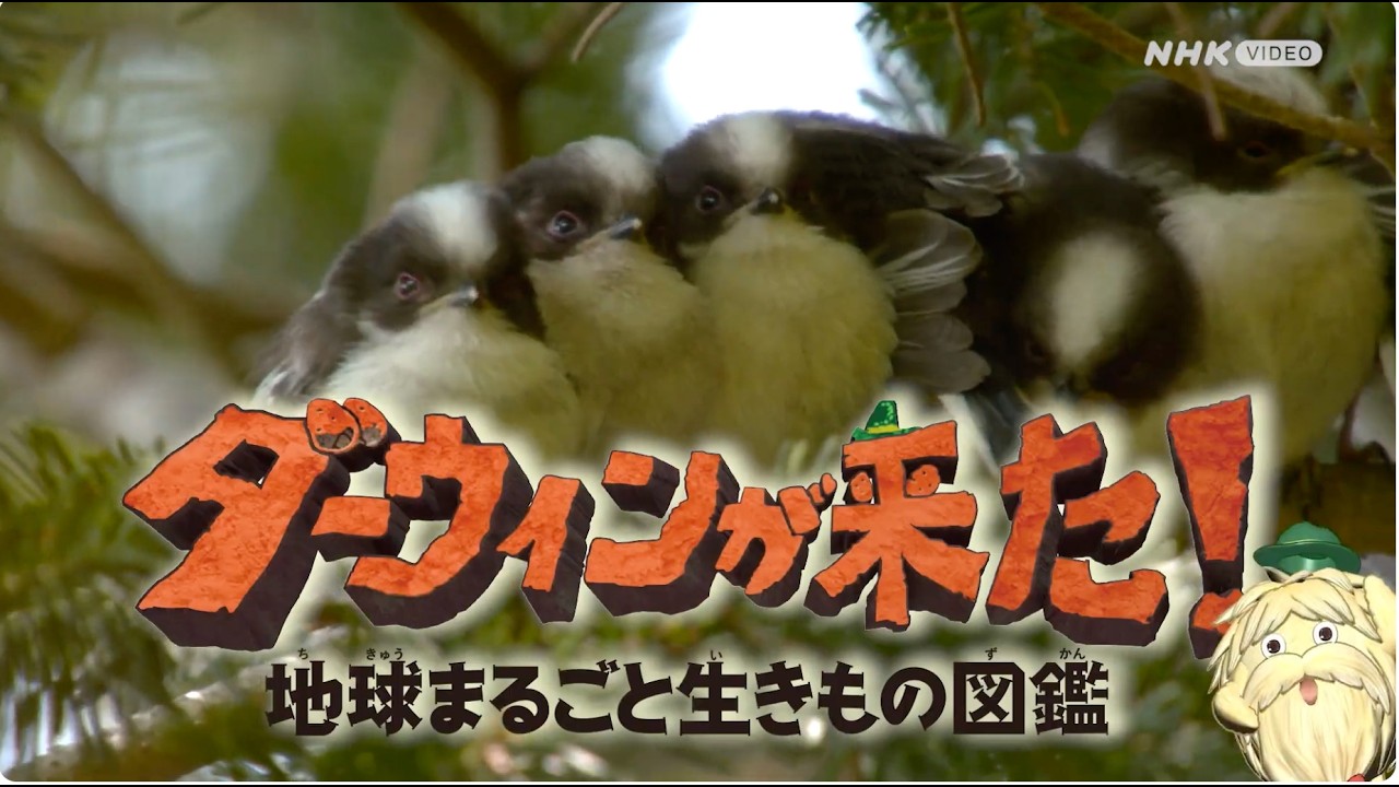 NHK 