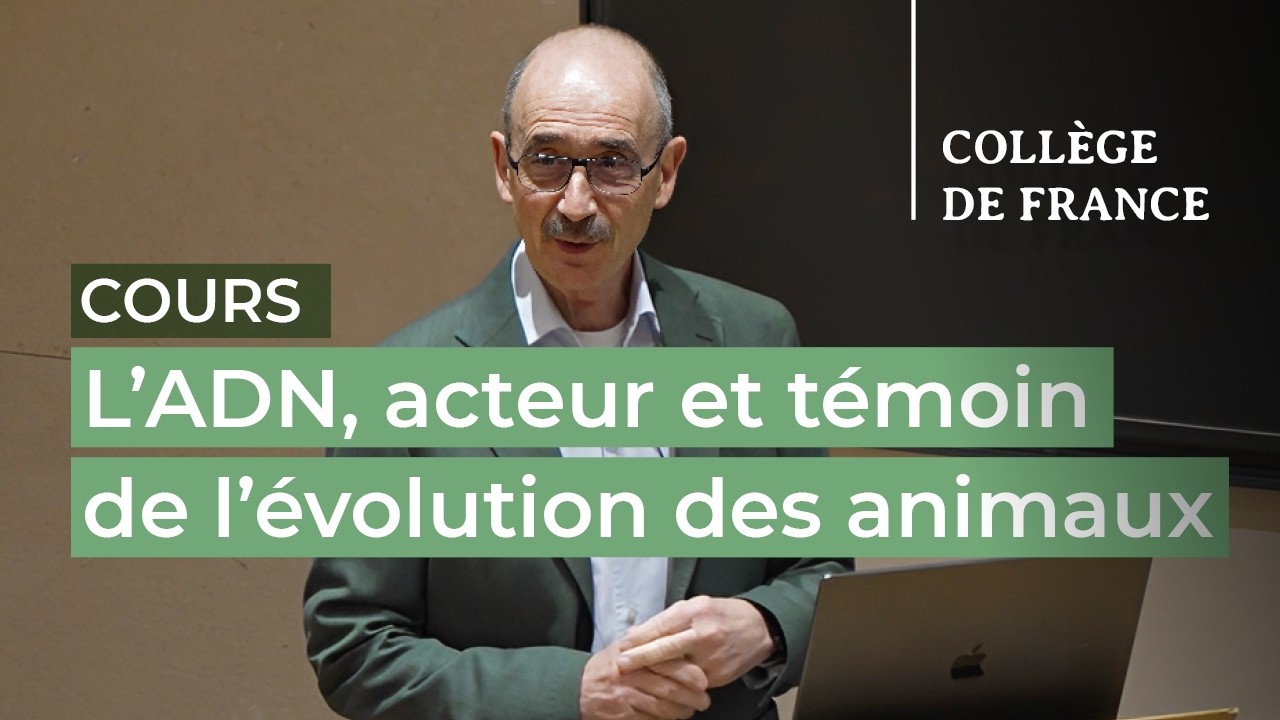 L’ADN, acteur et témoin de l’évolution des animaux (2) - Denis Duboule (2025-2026)