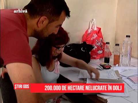 200.000 de hectare nelucrate în Dolj