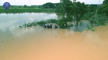 Chuyên Gia Câu Cá Lăng Sông Tiết Lộ Mồi Xịt Hiệu Quả Nhất