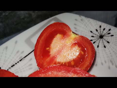 Video: Rajčica Kao Lijek