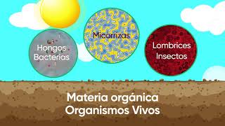 Propiedades Biol贸gicas del Suelo Propiedades Biol贸gicas del Suelo