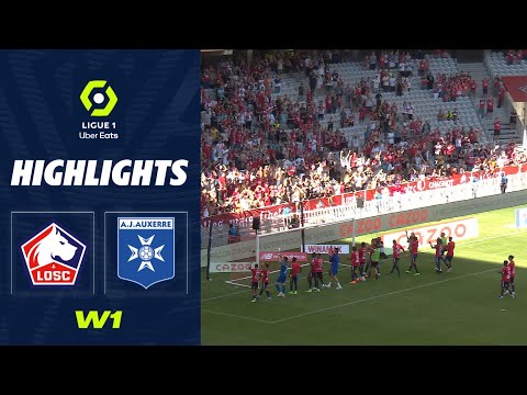 Lille Auxerre Goals And Highlights