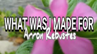 What Was I Made For - by Arron Rebustes (lyric)