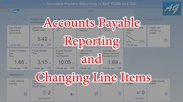 SAP S4HANA FIORI : Accounts Payable Reporting and Displaying Changes
