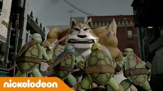 Teenage Mutant Ninja Turtles | Bradford ist ein Mutant? | Nickelodeon Deutschland