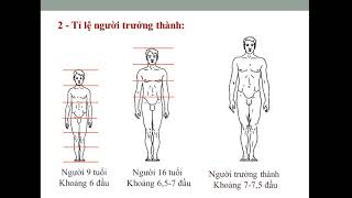 Mỹ Thuật 8.Ppct 27. Bài: Tìm Hiểu Tỉ Lệ Cơ Thể Người, Tập Vẽ Dáng Người