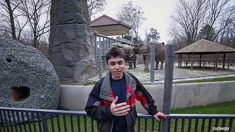 Me at the zoo but it