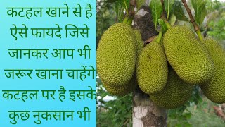 kathal ke fayde in hindi |  Benefits and side effects Of jackfruit in hindi | benefits of kathal