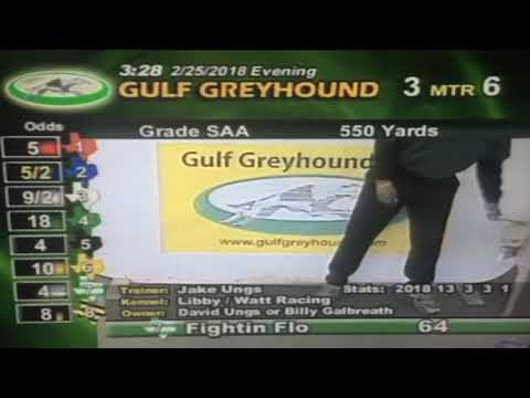 GreyhoundNews.co Picks Featured During Gulf Greyhound Park 2017-2018 Meet