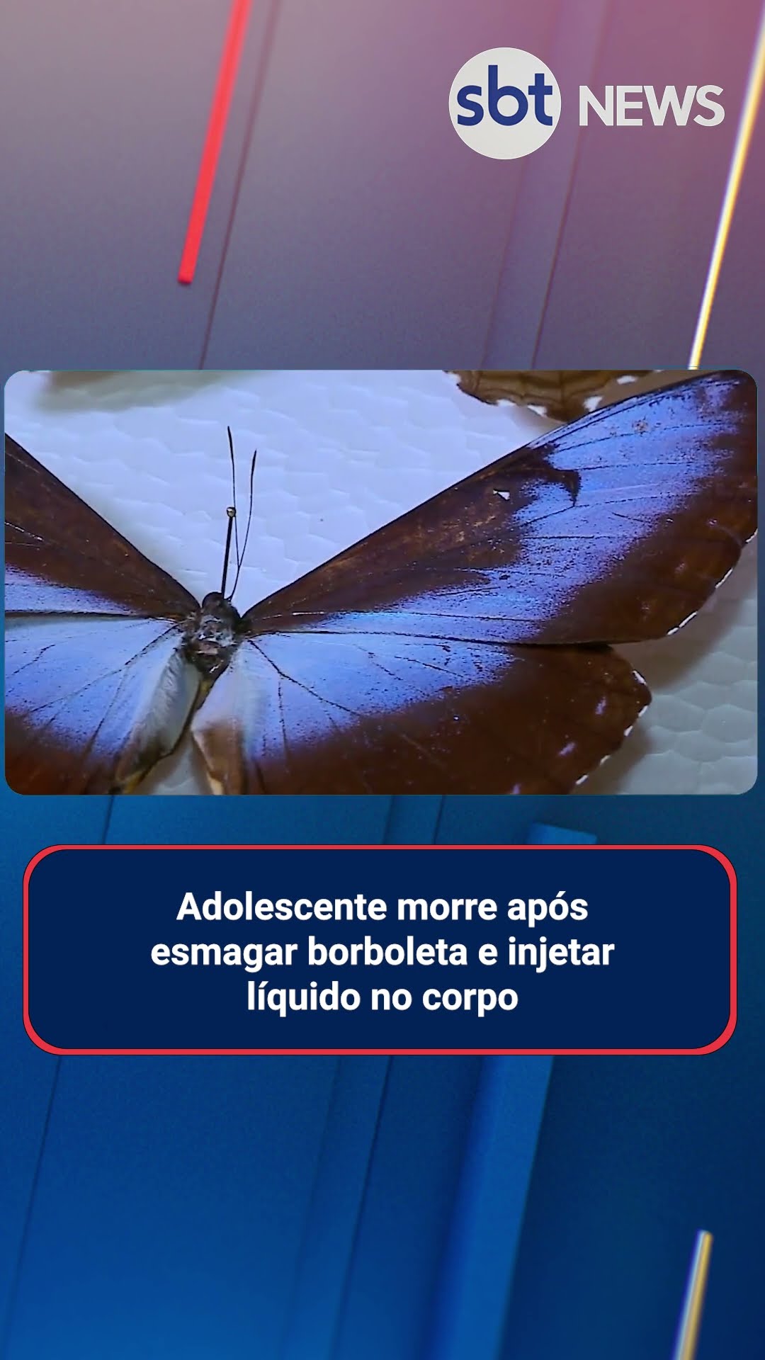 Adolescente morre após esmagar borboleta e injetar líquido no corpo