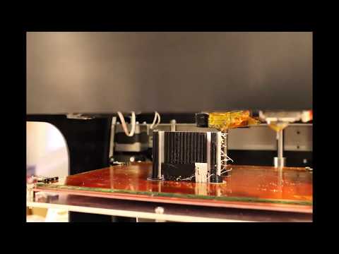Lepton Mosnter 3D Print with Lepton2