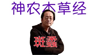 倪海廈《神農本草經》細分版： 341斑蟊（貓）、龍尾