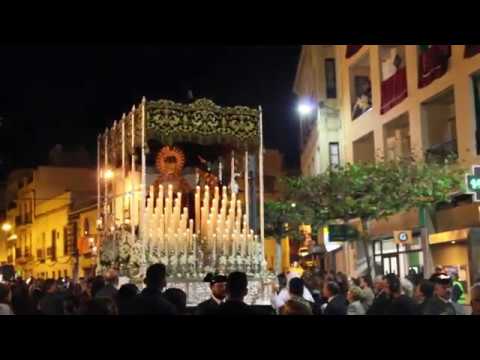 Antigua, Pontificia, Ilustre y Fervorosa Hermandad Sacramental de Dios, Ánimas Benditas del Purgatorio, Concepción Purísima de María y Cofradía de Nazarenos del Santísimo Cristo del Amor y Nuestra Señora de la Amargura