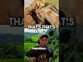 Why LIONS are STILL the KINGS of the Jungle | JRE #animalshorts #joerogan #jre