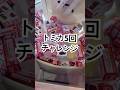 5回チャレンジ！ポケットトミカ何個取れる？#ゲームセンター#UFOキャッチャー#クレーンゲーム#トミカ