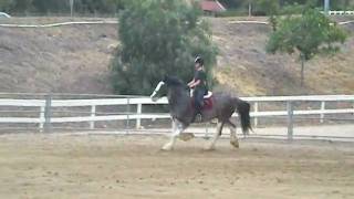 Anna Trying to Canter Slate.avi
