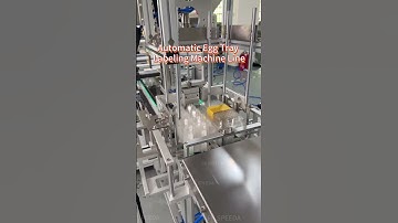 Egg tray labeling machine #labelingmachine #eggtray #automaticlabelingmachine #labelingsolutions