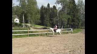 Helmut 4