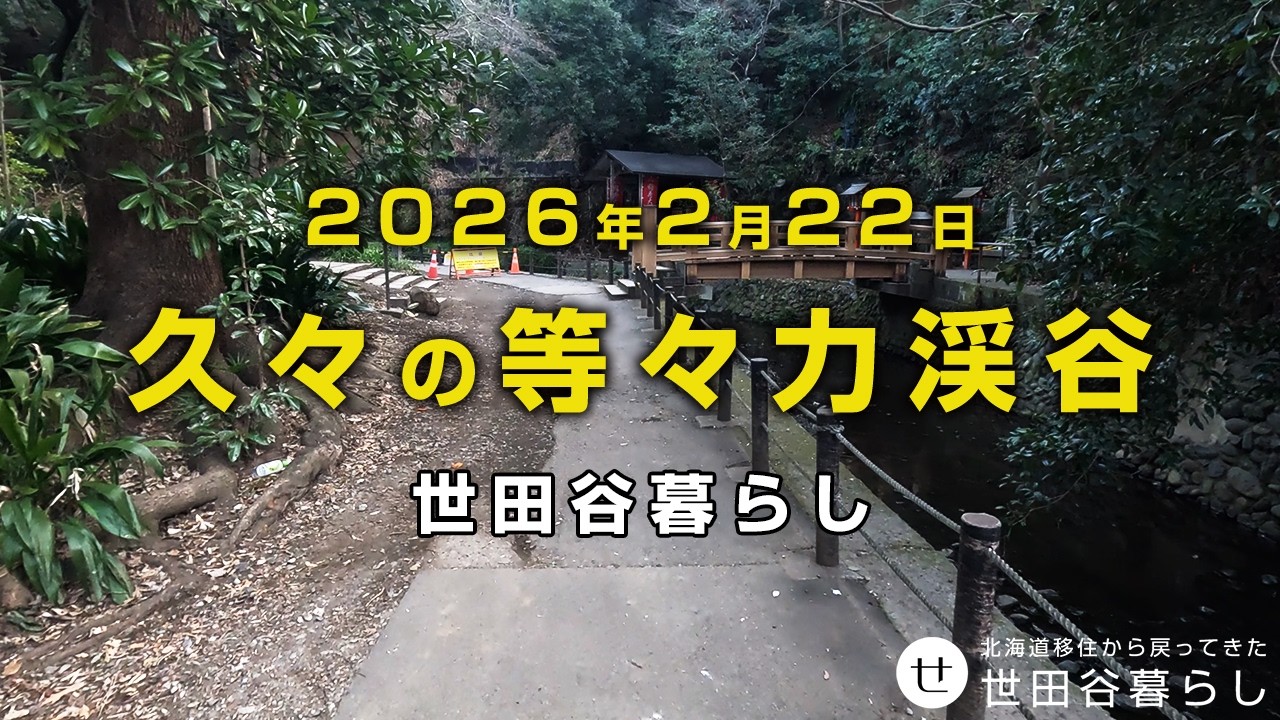 世田谷散歩｜久しぶりに等々力渓谷付近を散策しました。
