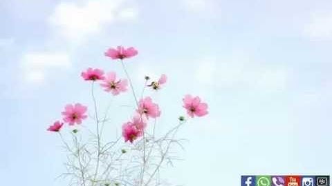 Islamic Keek | يوسف الدغوش - من سورة ال عمران