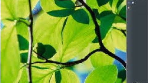 Installing Windows Longhorn Build 4074