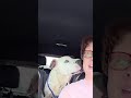 EUTHANASIA RISK: Injured Sweetheart Could Lose His Life At Any Moment Simply Becau... [UPDATE BELOW]