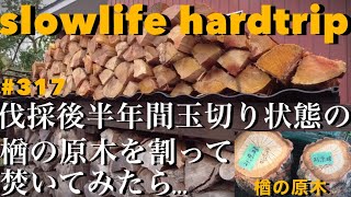 薪ストーブを買う人の為に！伐採後半年間玉切り状態の楢の原木を割って焚いてみたら…