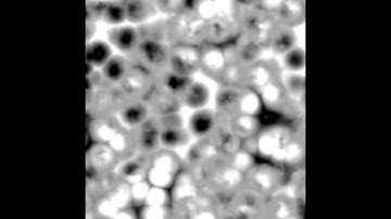 Voronoi & Perlin Noise Animated