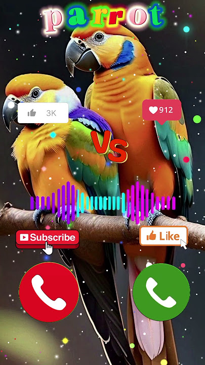 Mobile phone 📱 ringtone sounds #shorts @CEOCATI-B