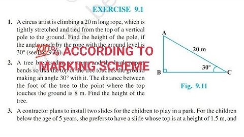 Exercise 9.1 class 10 maths