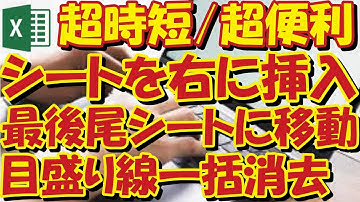 【Excel】超時短①マクロでシートを右側に挿入、②最後尾シートに移動(Ctrl + ▶)、③全てのワークシートを選択(Ctrl + Fn + Shift +↓)&目盛線消去(Alt → W→ VG)