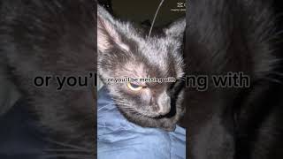 #larry #evil #evillary #babyboo #edit #cat #gang #die #memes #funny #cool #weird #scary #babydoll