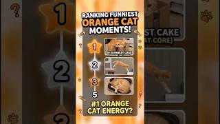 Ranking the Most Chaotic Orange Cat Moments🧡 #shorts #funny #viral