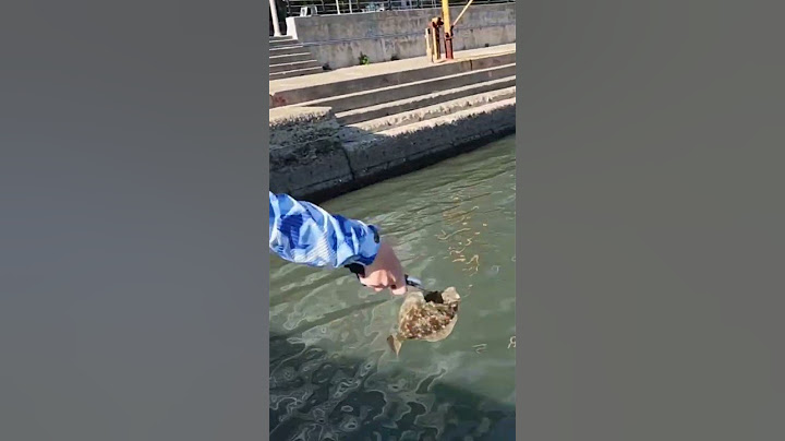 해운대에서 잡은 광어 방생하기!! ㅋㅋ(catch and release flatfish)  #shorts